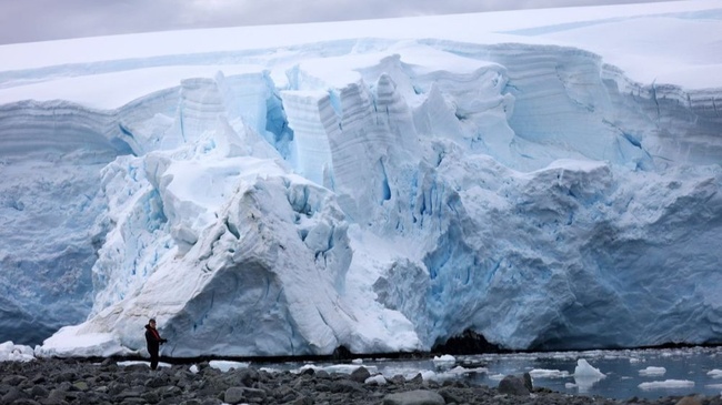 Expertenführung "Kleine Helden, große Sorgen - Was den antarktischen Krill für die Antarktis so bedeutsam macht"