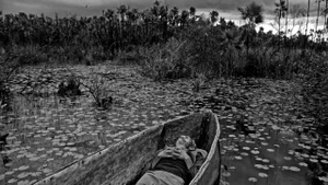 To the West, in Zapata (Filmfest Aachen 2025)