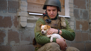 US, OUR PETS AND THE WAR (Dokumentarfilm, OmU, Ukraine 2024)