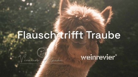 Flausch trifft Traube - Weinverkostung mit Alpakas