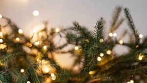 Gemütliche Weihnachtsfeier für ältere Junggebliebene
