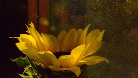 Garden Escapes