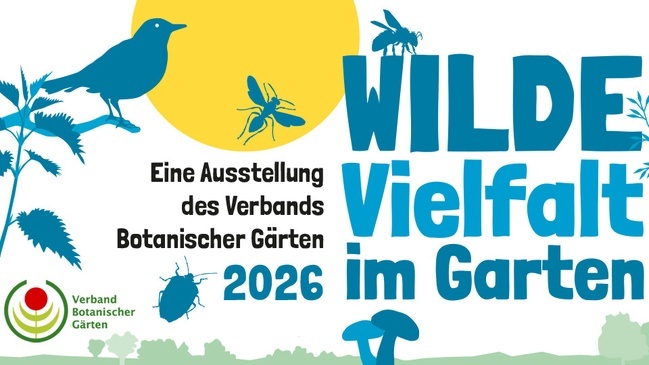 Wilde Vielfalt im Garten