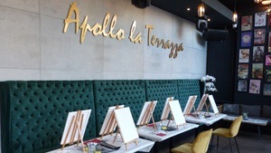 • Music & Paint • vi.nesse Edition •