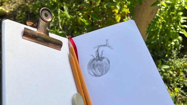 Zeichnen in der Flora