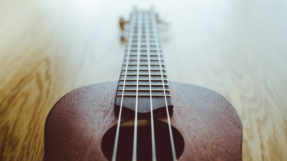 Crashkurs Ukulele