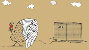 Wie Zugvögel - Kosovarische Künstler:innen treffen 68elf Künstler:innen