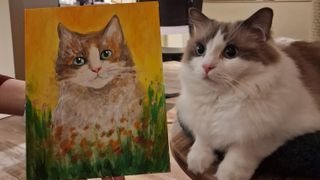 Paint & Purr: Katzenmal-Workshop
