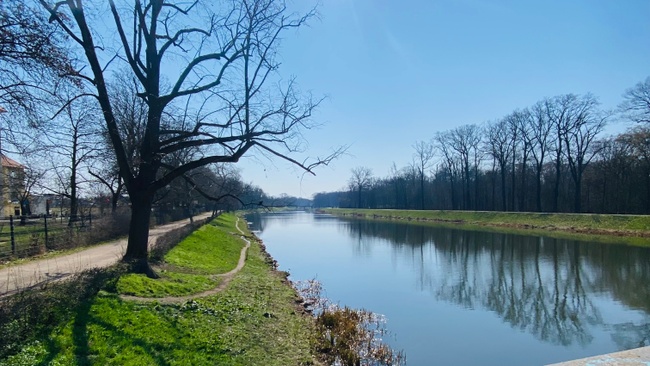 Barfuß Walk - Zurück zur natürlichen Bewegung