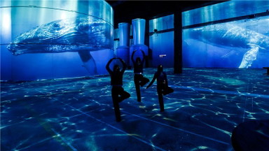 Immersive Yoga