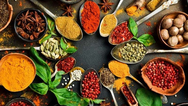 Seminar Yoga & AyurvedaMedizin Triptis