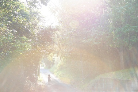 Rinko Kawauchi: a faraway shining star, twinkling in hand