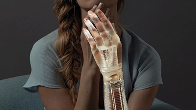 Anatomie der Fragilität – Körperbilder in Kunst und Wissenschaft