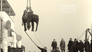 Soundtrack to a Coup D´Etat | Stranger Than Fiction