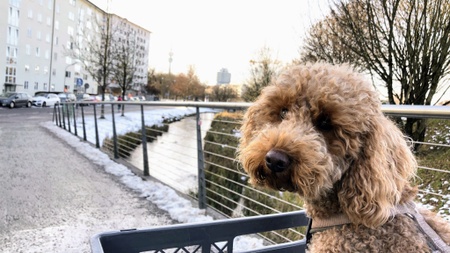 Milbertshofen? Ja! Entdeckerspaziergang mit deinem Smartphone