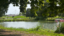 YogaThrive x Flora & Fauna