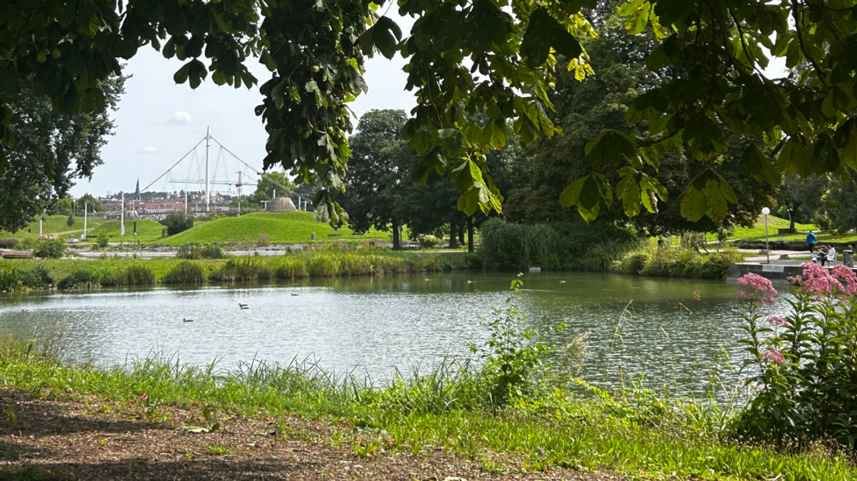 YogaThrive x Flora \u0026 Fauna