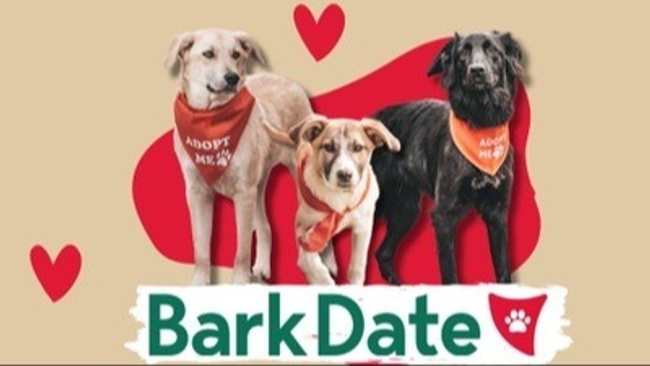 Bark Date - Best Date Ever!