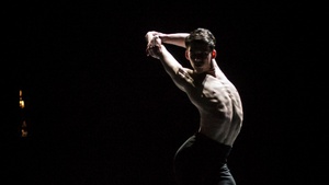 10. Biennale Tanzausbildung 2026 Berlin