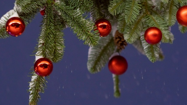 Westfälischer Weihnachtsmarkt auf dem Mühlenhof in Münster