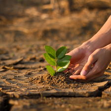 EU-Klimapakt Jahreskonferenz 2024