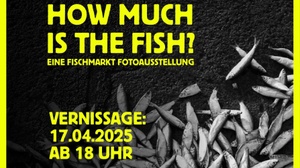 Vernissage "How Much Is The Fish"