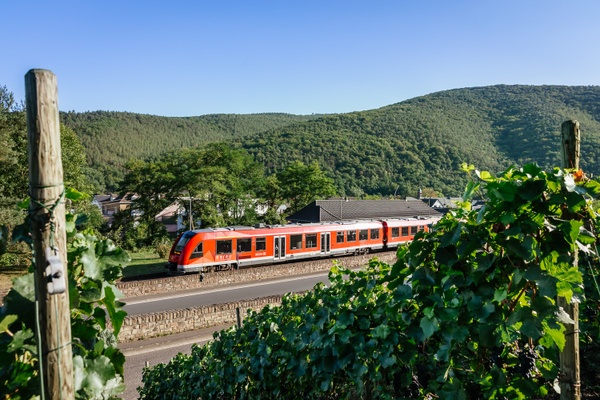 Your favorite tour in the Ahr valley 🚉 🍀 A perfect spring excursion with vareo