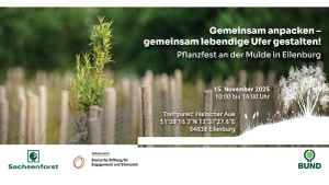 Gemeinsam Auen gestalten - Pflanzfest in Eilenburg
