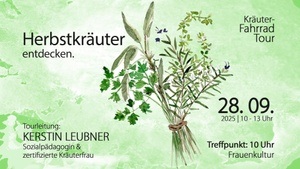 Herbstkräuter entdecken.
