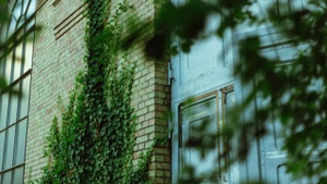 Garten | Sachsentrance X Drop! X Dream Bureau