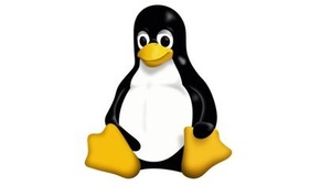 Gewusst wie: Linux kennenlernen und ausprobieren.  Wie Sie ältere Hardware mit Linux wiederbeleben
