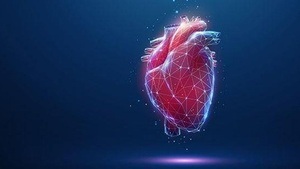 Offen, poly, beziehungsanarchisch – Beziehungsmodelle der Zukunft?