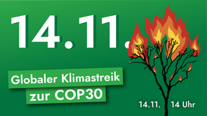 Klimademo am 14.11.
