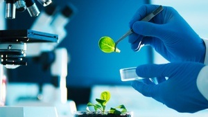 3. Start-up Market Biotech & Life Sciences