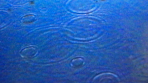 LABORARTDEPOT - FÄLLE VON WASSER