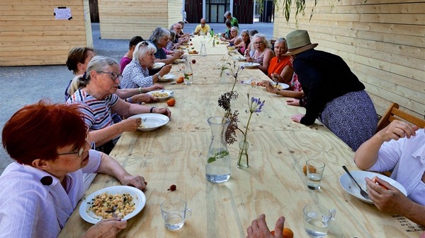 Titelbild der Veranstaltung Markt des Weisen Wissens | Blaue Zone Sommercamp | 30.07.–08.08.