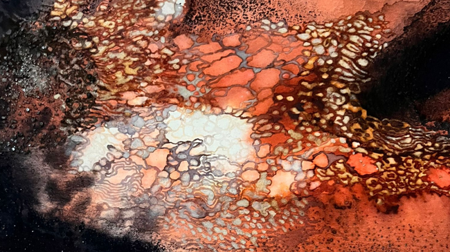 Ausstellung Hybrides von Camille Turrian