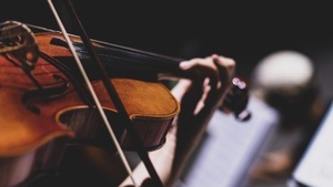 12. Windros Festival „Strings get Wings“