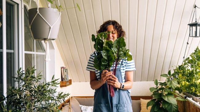 Urban Gardening – Praktische Tipps für ein grünes Zuhause