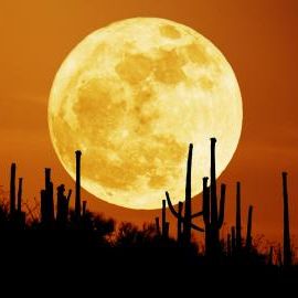 Late-Night-Show: Einmal Mond und zurück