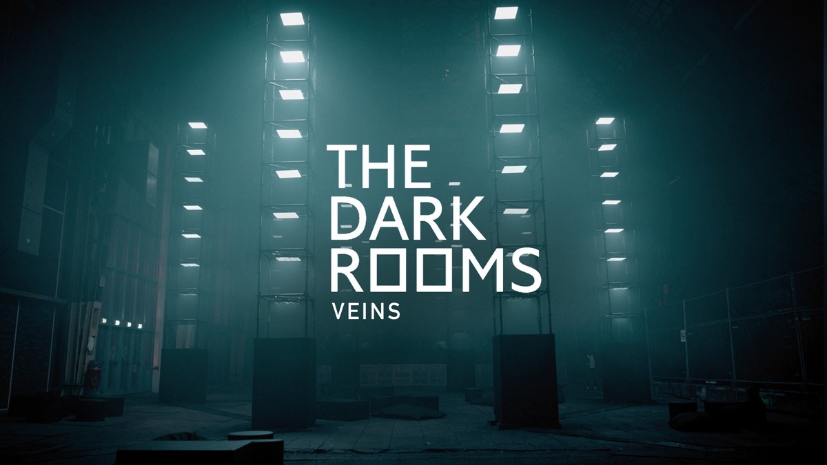 THE DARK ROOMS VEINS