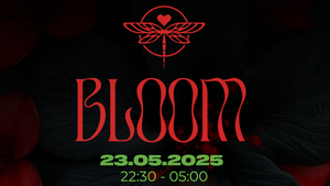 Bloom @ Mitte Soundbar by ElectronicLiebe