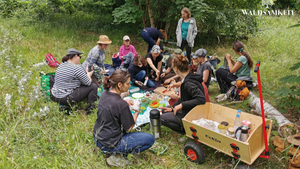 Kräuterwanderung mit Picknick