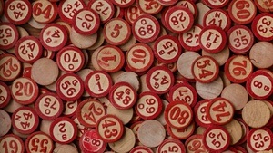 Bingo Bingo