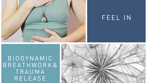 Biodynamic Breathwork& TraumaRelease