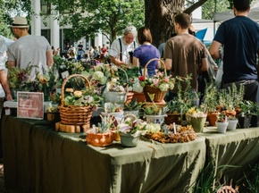 Wochenmarkt Winterfeldtplatz