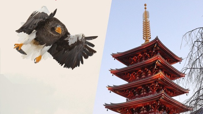 Winterliches Japan - Multivisionsshow