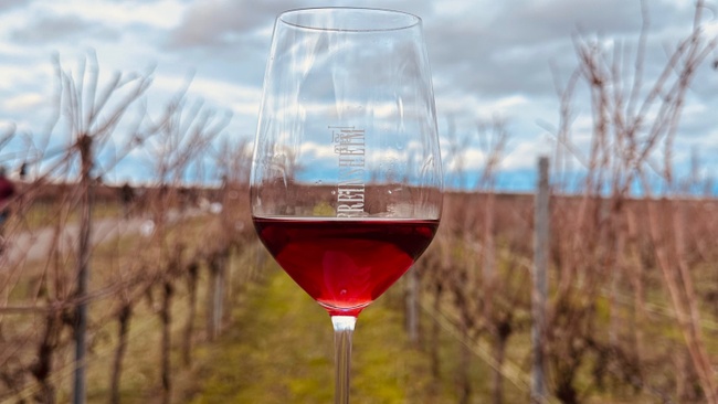 Rotweinwanderung Freinsheim 2026