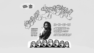 Drake Tribute Party • Astra Berlin
