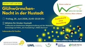 Glühwürmchen-Nacht in der Hustadt